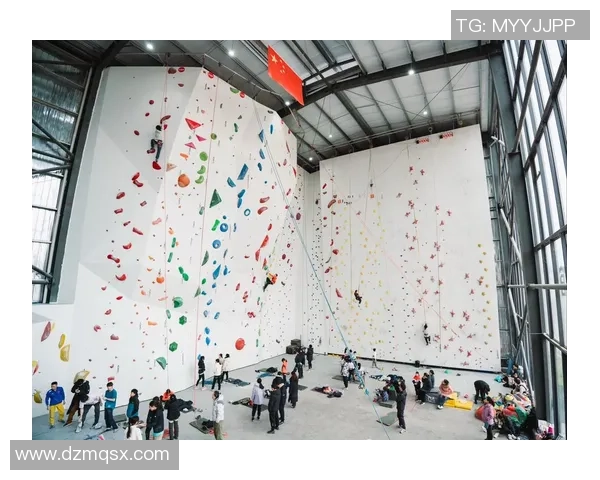 南京攀岩队近期状态全面对比分析及未来发展趋势探讨